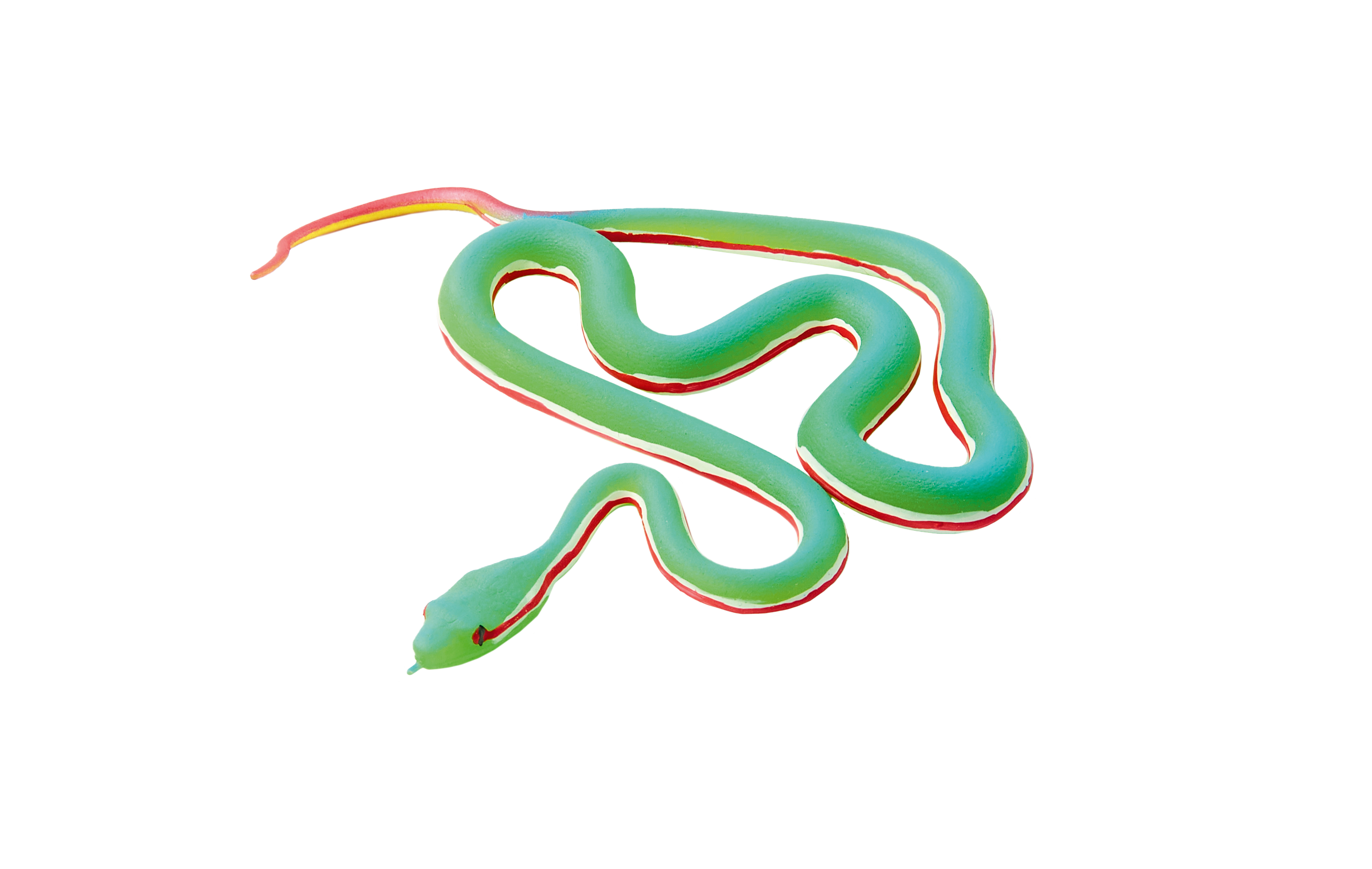 PW Serie3 03 Trimeresurus popeiorum 0072 3
