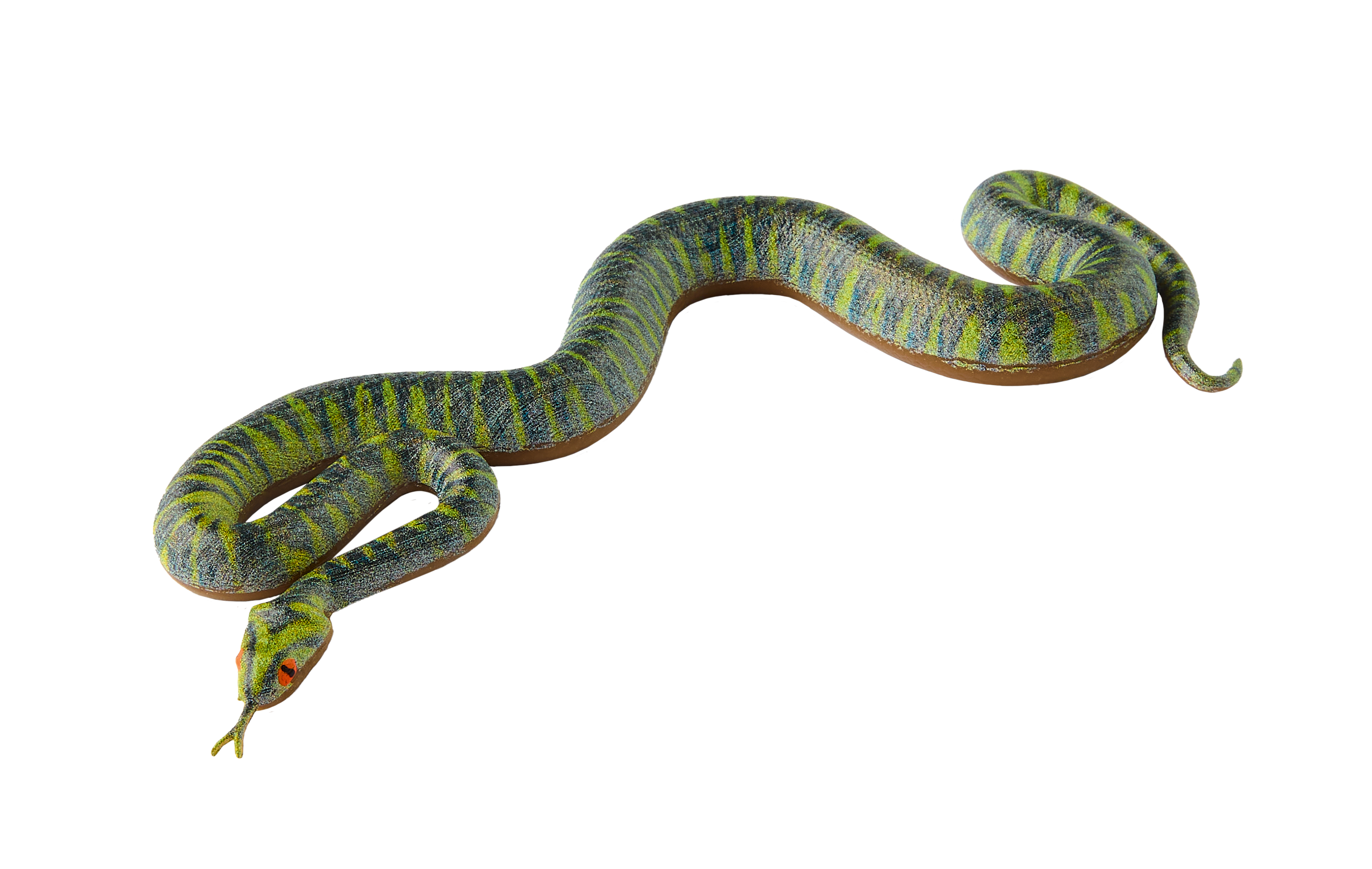 PW Serie3 05 Vipera berus 0074 3