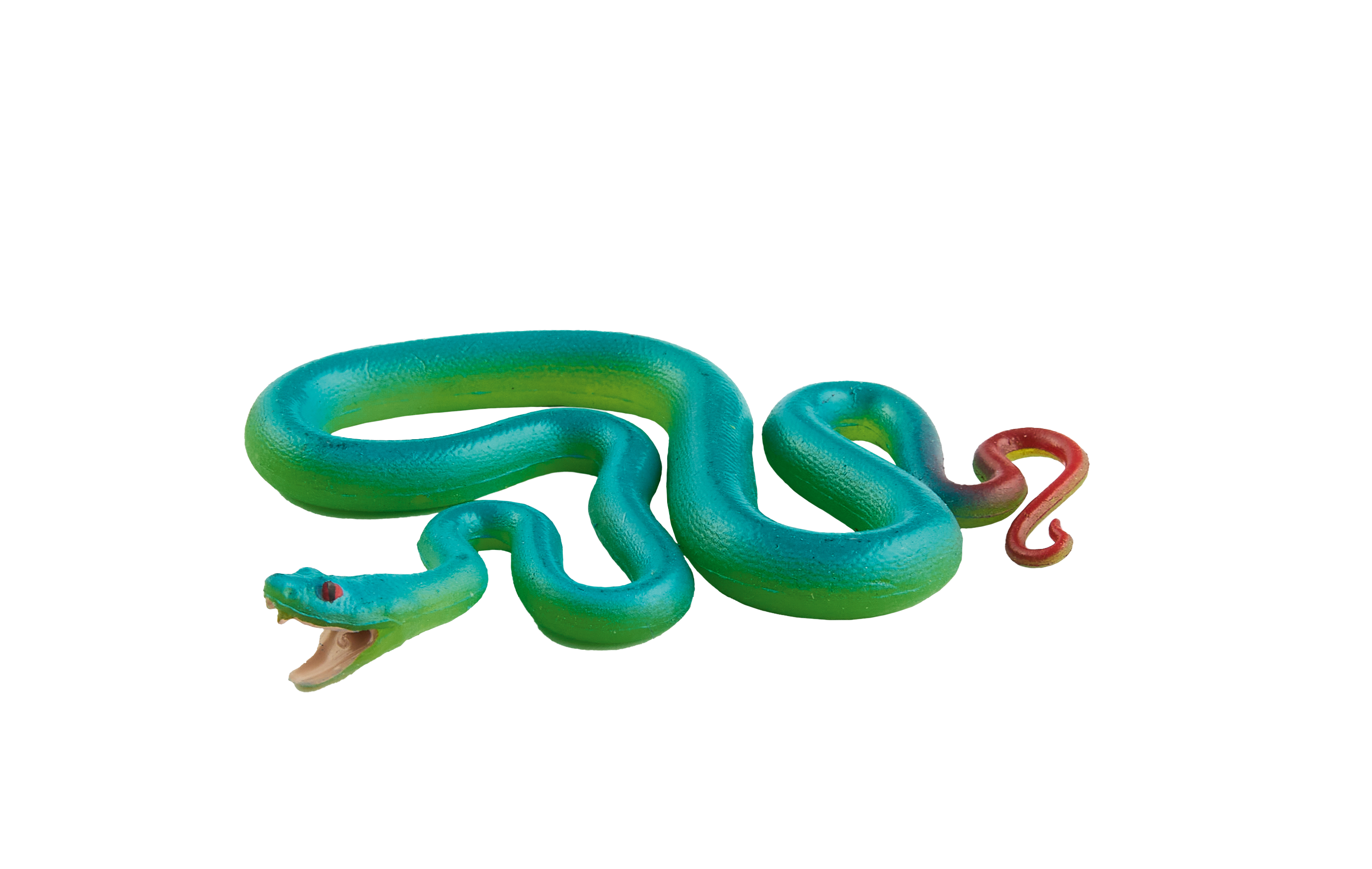 PW Serie3 08 Trimeresurus insularis 0085 3