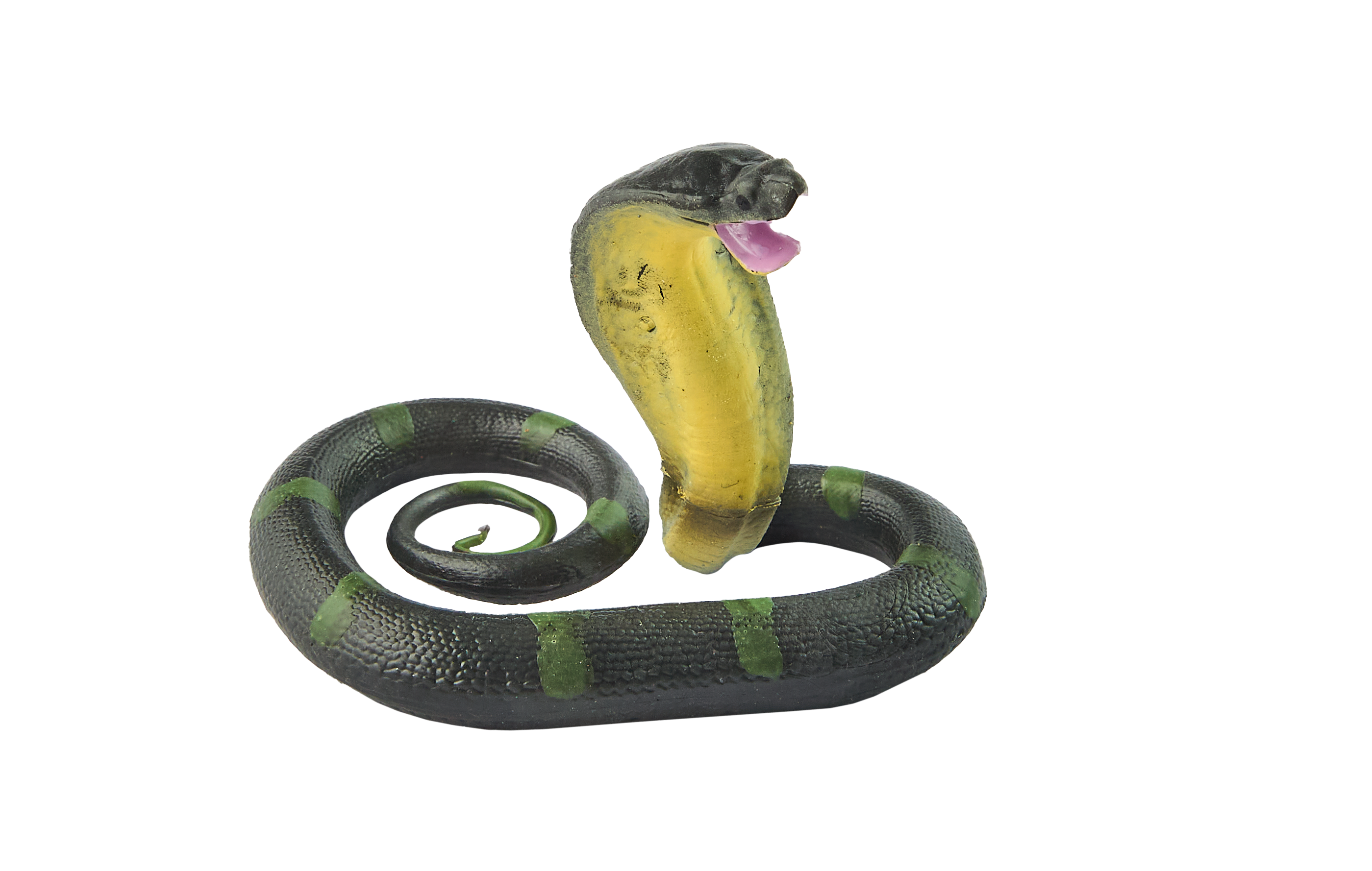 PW Serie3 09 Ophiophagus hannah 0087 3