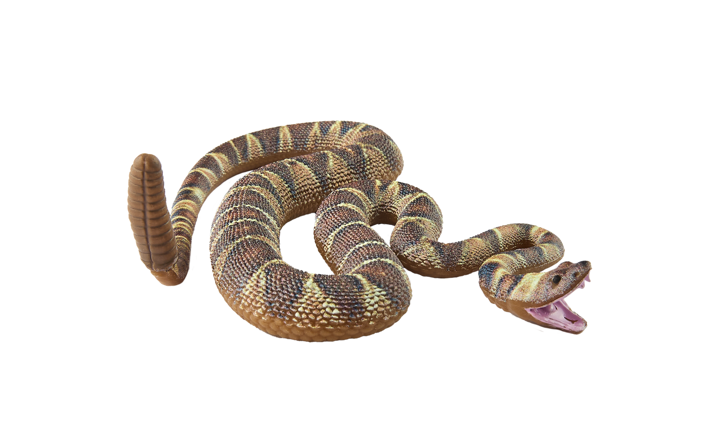 PW Serie3 10 Crotalus adamanteus 0089 3