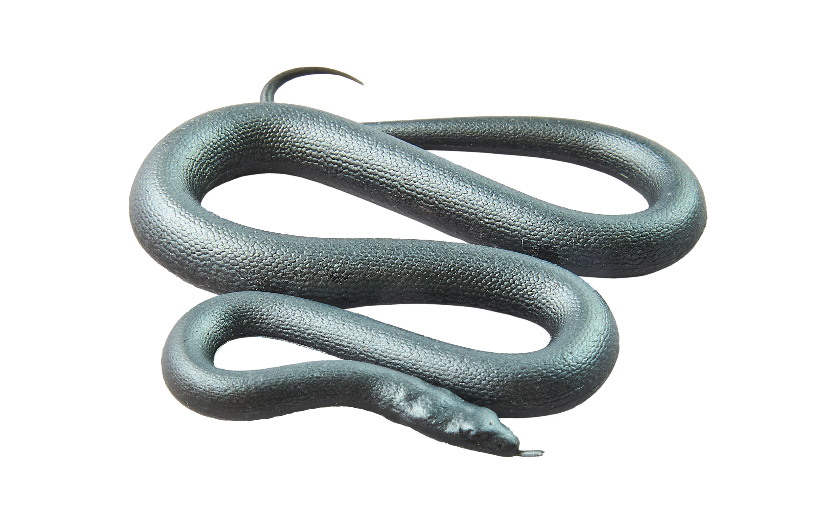 PW Serie3 11 Xenopeltis unicolor 0090 3