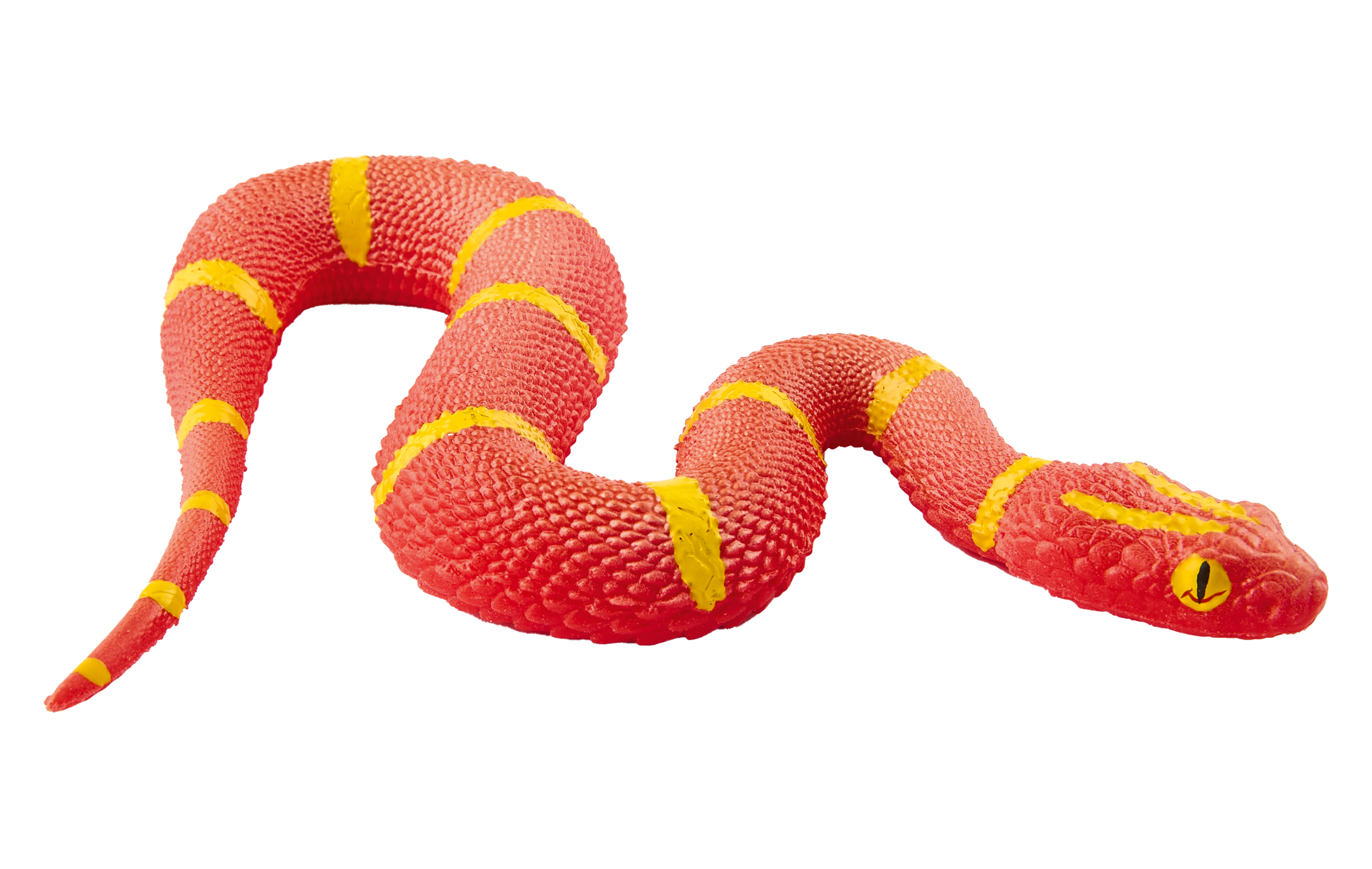 PW Serie3 12 Atheris squamigera 0091 3