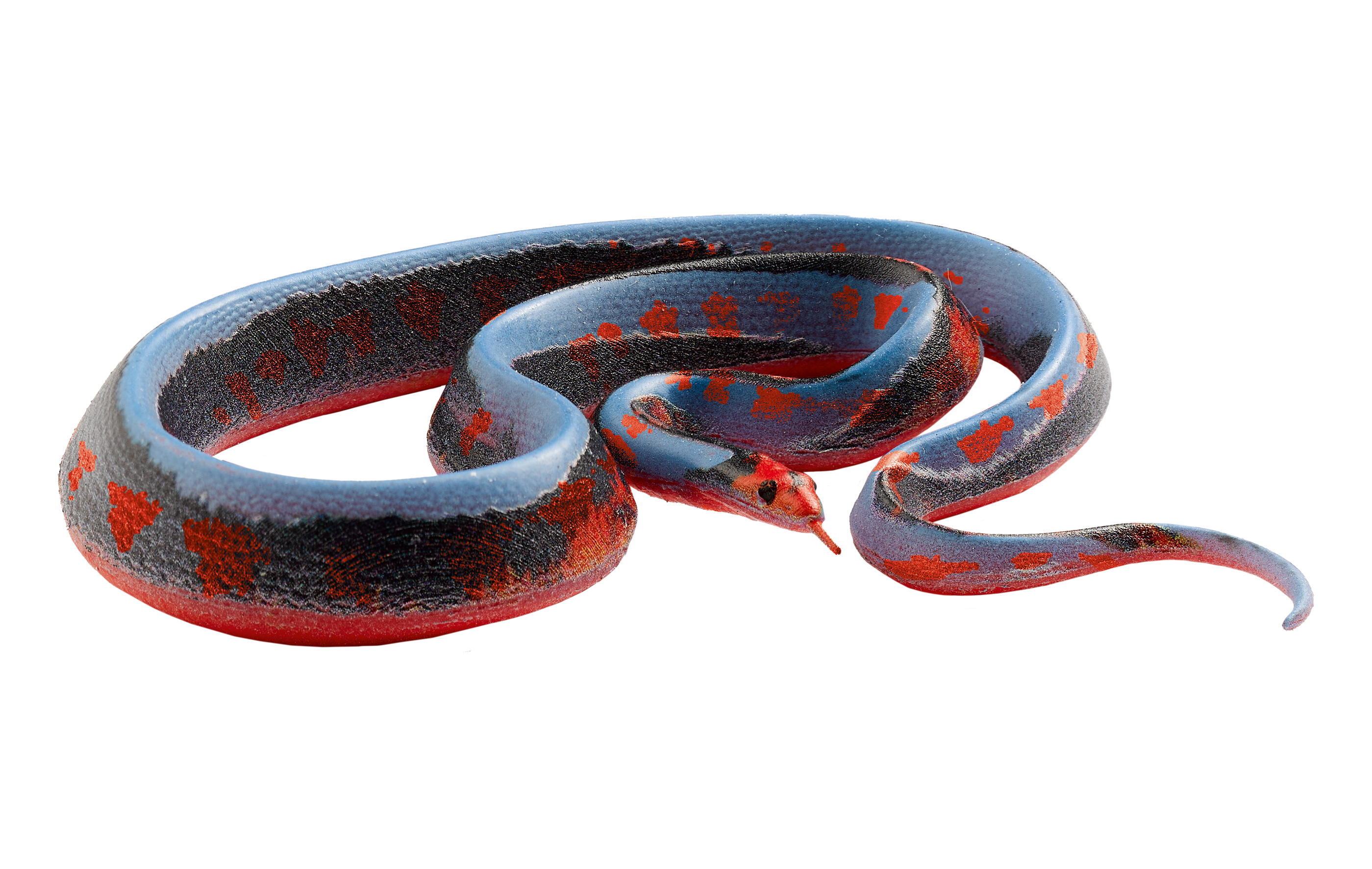 Planet WOW Snakes 07 Thamnophis Sirtalis 76355 3