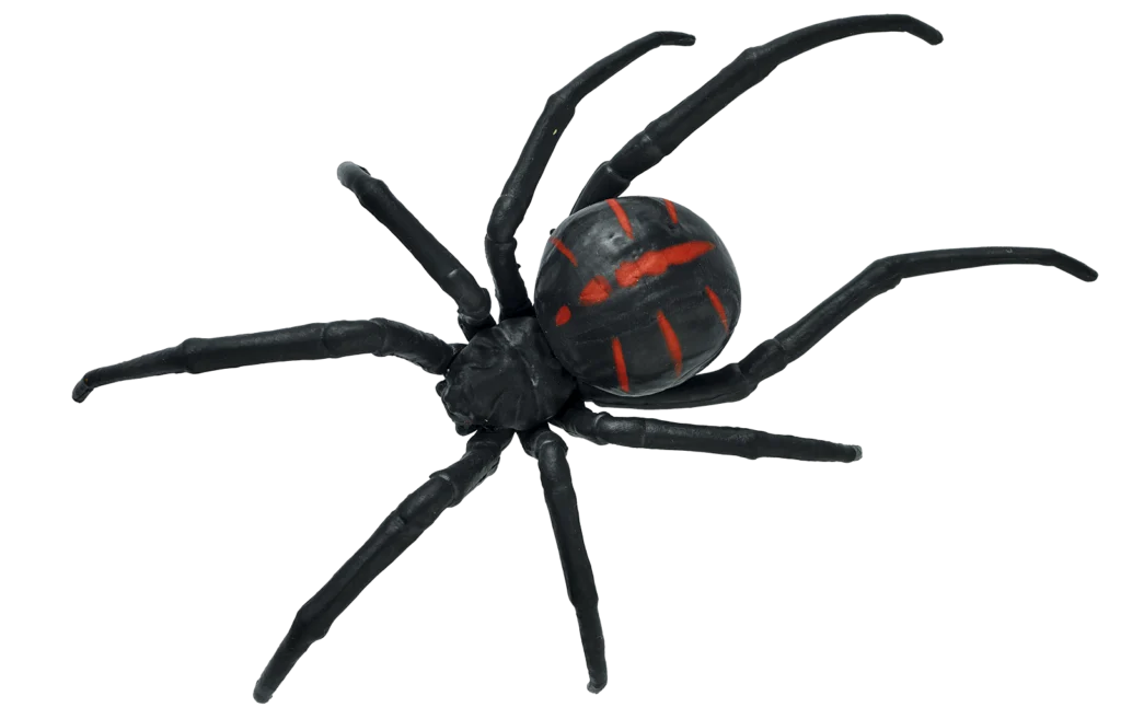 04. Viuda negra