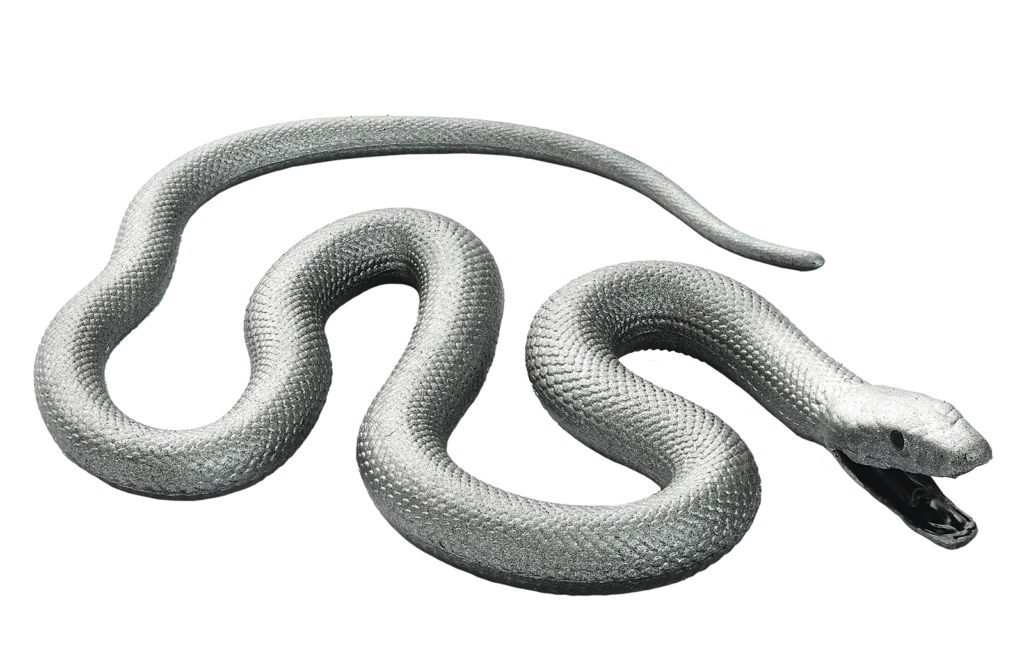 08. Mamba negra